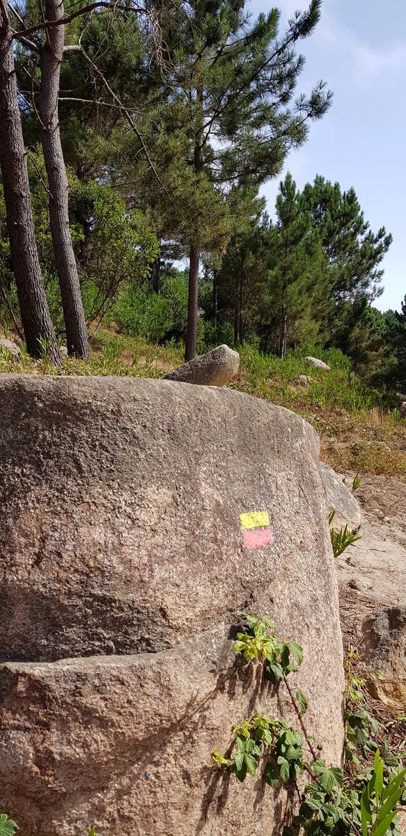 Pedra Amarela Viewpoint